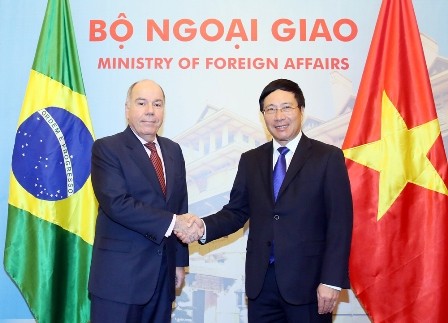 Vietnamese, Brazilian Foreign Ministers holds talks  - ảnh 1